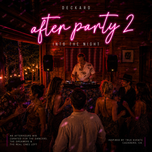 After Party 2 — Into the Night cover art